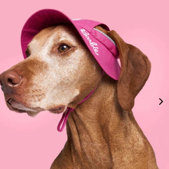 COPY Barbie x Canada Pooch Pink Barbie Bel Air Bucket Hat for